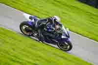 Lower Group Blue Bikes